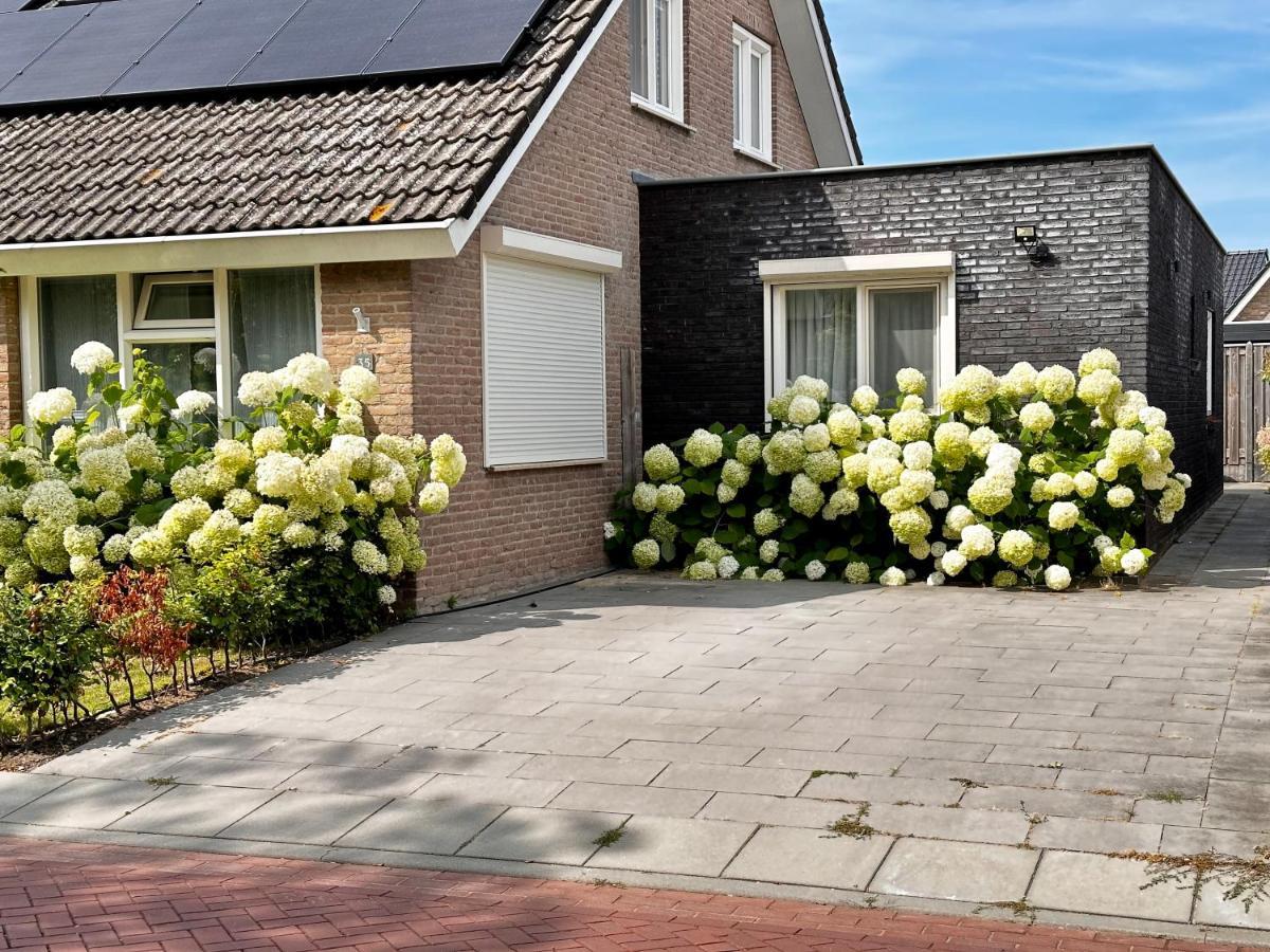 Zoutelande Koddelaan Vakantiewoning Exterior foto